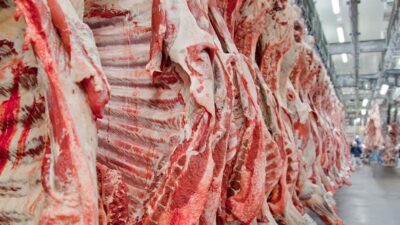 Türkiye İstatistik Kurumu’nun (TÜİK) açıkladığı 2025 yılı Aralık ayı enflasyon