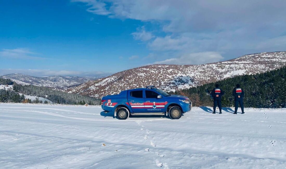Saraykent İlçe Jandarma Komutanlığı ekipleri, yaban hayatının korunmasına yönelik çalışmalarını