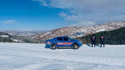 Saraykent İlçe Jandarma Komutanlığı ekipleri, yaban hayatının korunmasına yönelik çalışmalarını