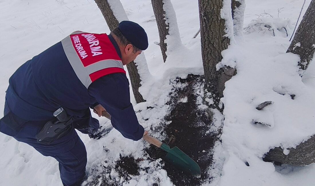 Yozgat İl Jandarma Komutanlığı Çevre, Doğa ve Hayvanları Koruma Timi