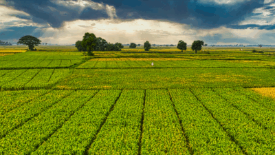 Yozgat İl Tarım ve Orman Müdürlüğü, 2025 yılı boyunca tarım