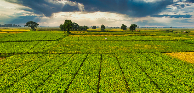 Yozgat İl Tarım ve Orman Müdürlüğü, 2025 yılı boyunca tarım