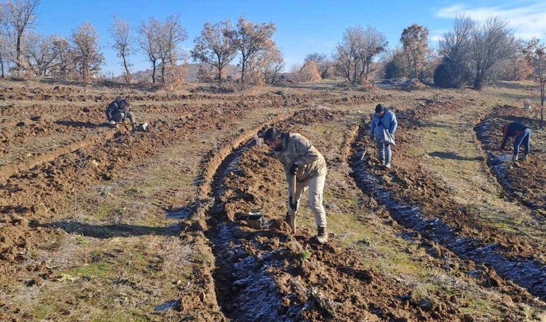 Yozgat Valiliği, Yeşil Vatan Seferberliği kapsamında yürütülen çalışmalarla ilgili kamuoyunu