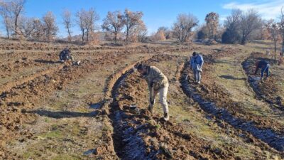 Yozgat Valiliği, Yeşil Vatan Seferberliği kapsamında yürütülen çalışmalarla ilgili kamuoyunu