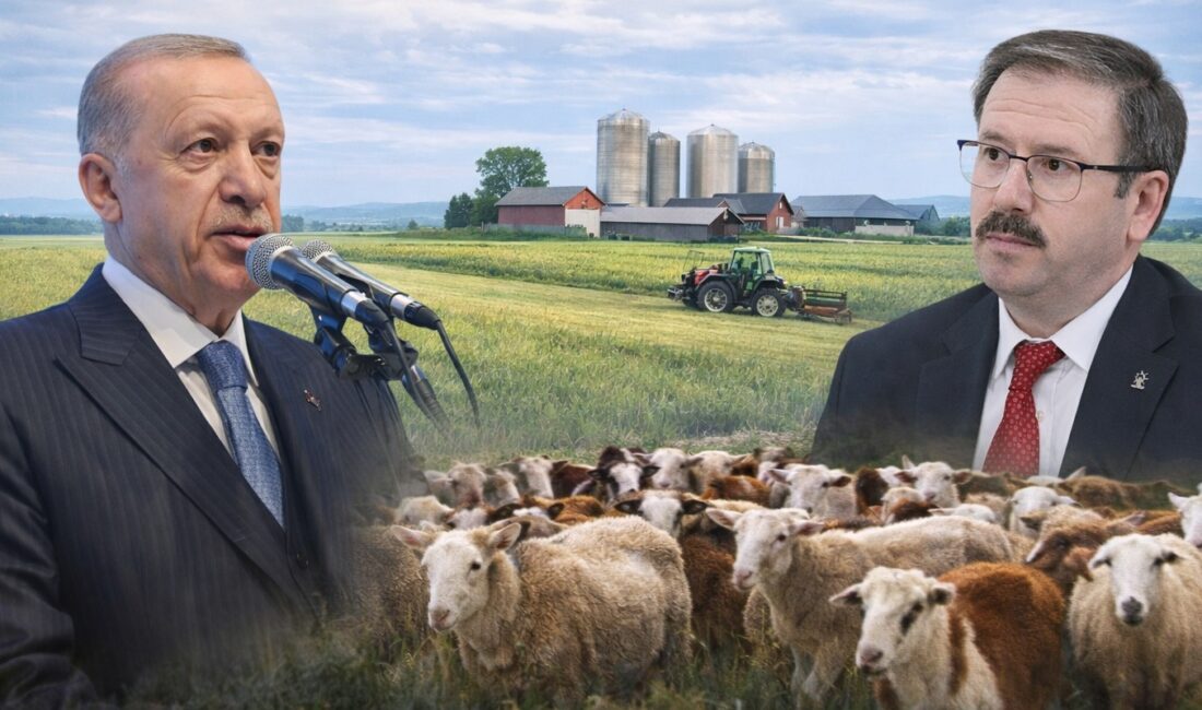 AK Parti Yozgat İl Başkanı Av. Hasan Kandemir, Recep Tayyip