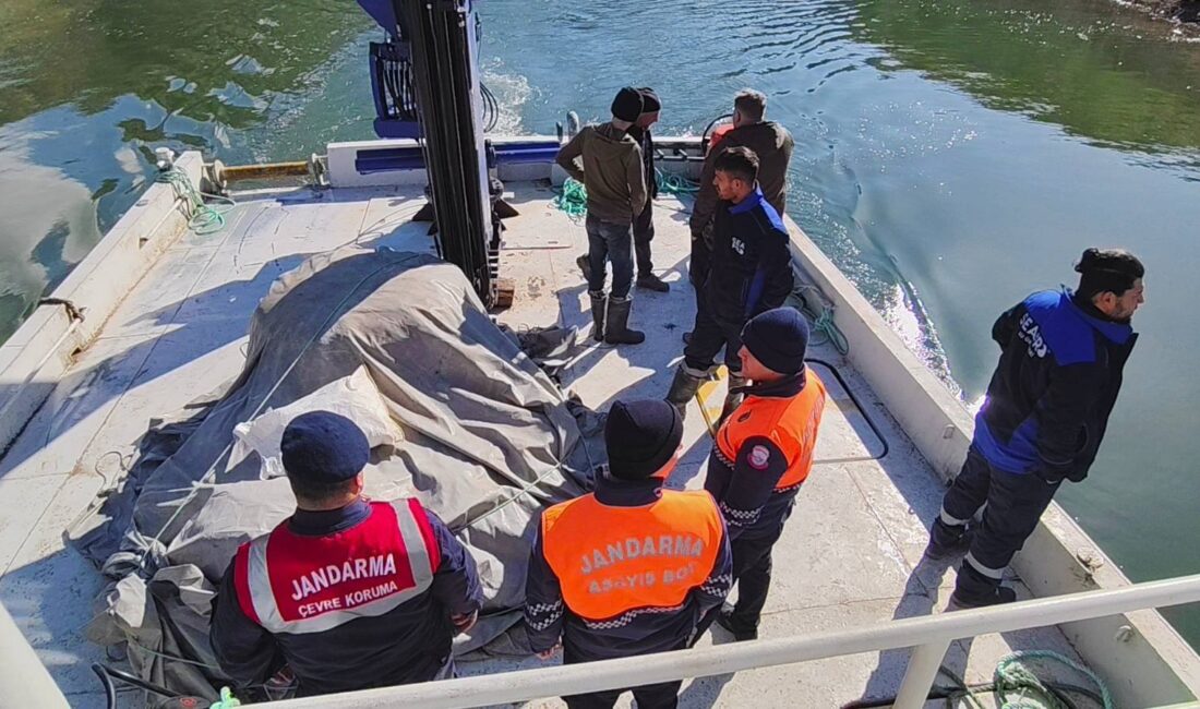 Çekerek İlçesi’nde balık stoklarının korunması ve sürdürülebilir balıkçılığın sağlanması amacıyla