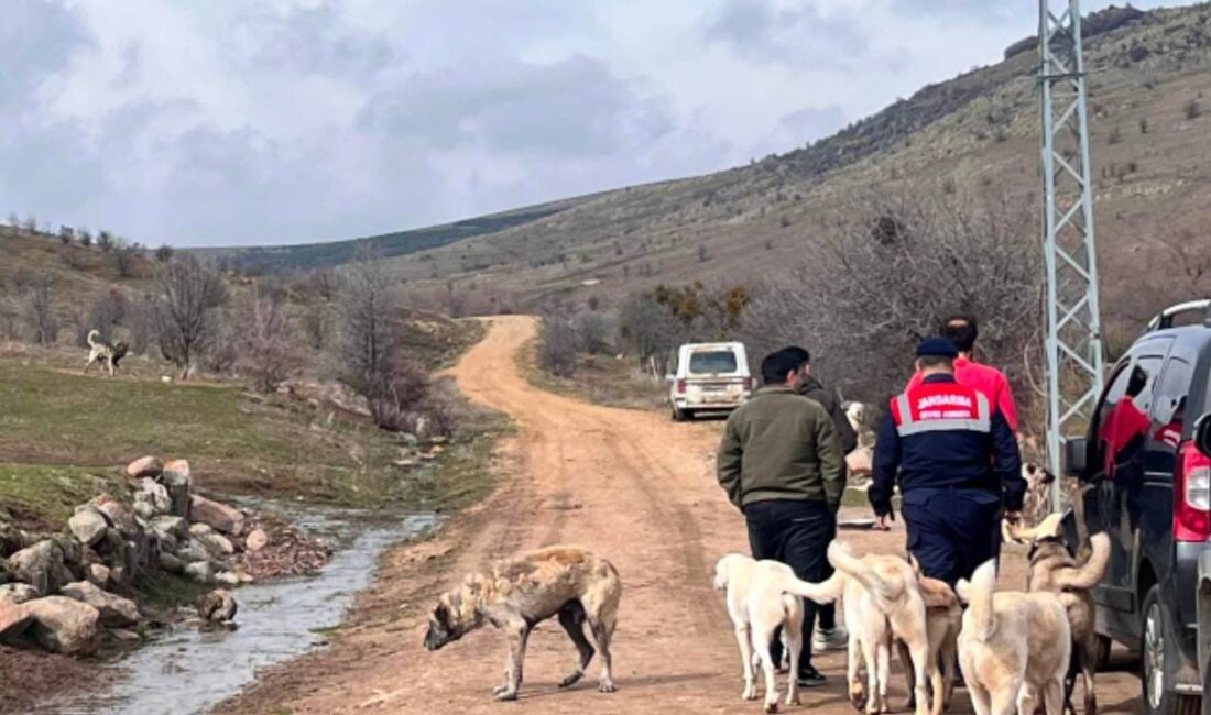 Yozgat İl Jandarma Komutanlığı bünyesinde görev yapan Çevre, Doğa ve