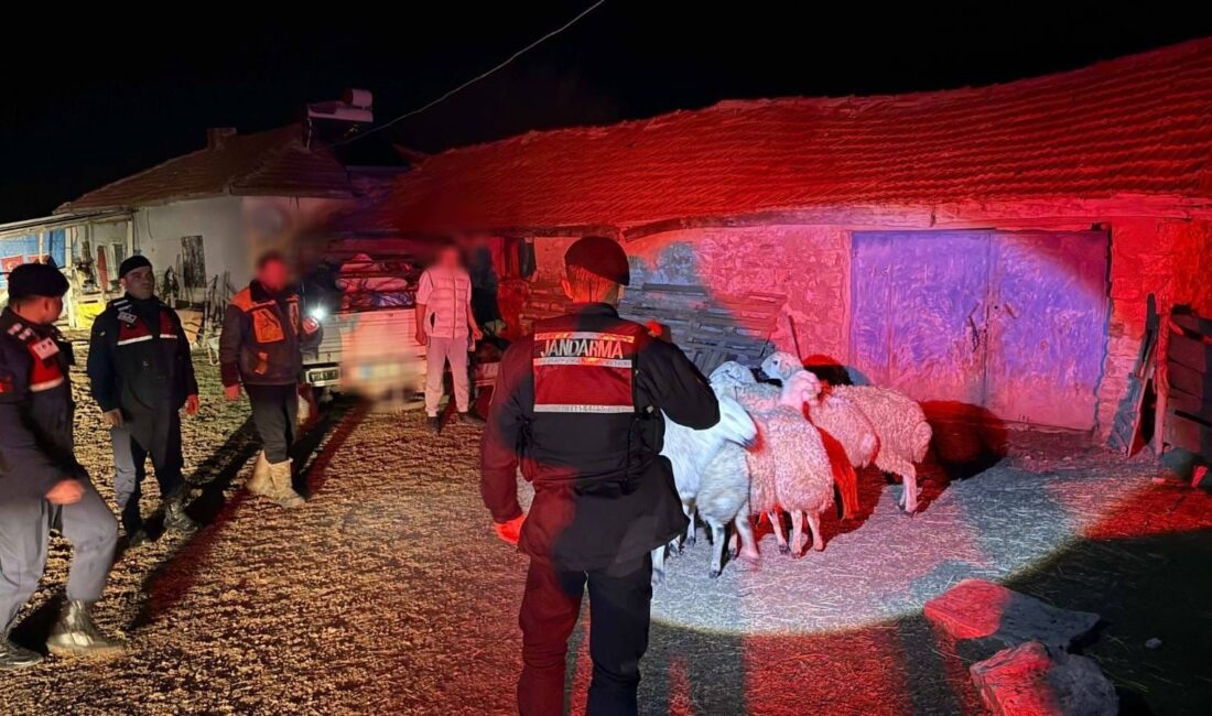 Boğazlıyan’da küçükbaş hayvan hırsızlığı olayı aydınlatıldı. Yamaçlı beldesinde çalınan 7