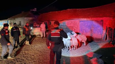 Boğazlıyan’da küçükbaş hayvan hırsızlığı olayı aydınlatıldı. Yamaçlı beldesinde çalınan 7