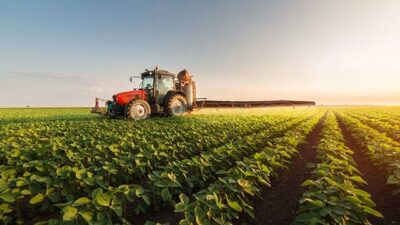 IPARD III Programı kapsamında kırsal kalkınmaya yönelik yatırımlara sağlanan destekler