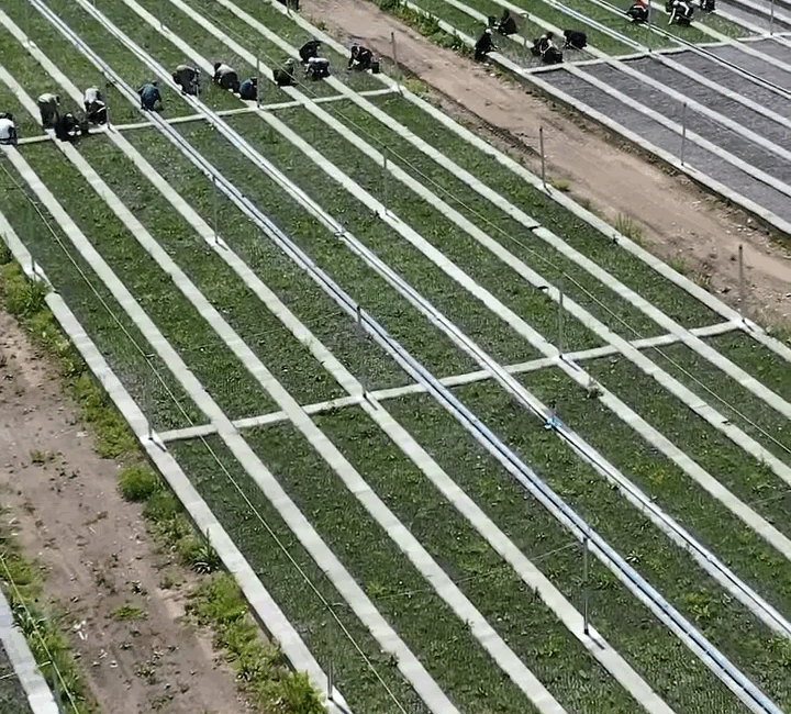 Türkiye’nin önemli fidan üretim merkezlerinden biri olan Akdağmadeni Fidan Üretim