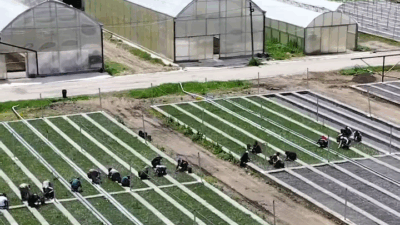 Türkiye’nin önemli fidan üretim merkezlerinden biri olan Akdağmadeni Fidan Üretim