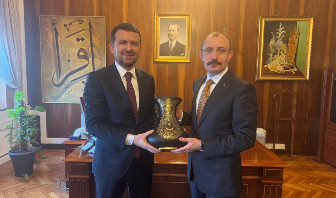 Basın İlan Kurumu (BİK) Genel Müdürü Abdulkadir Çay, Meclis çalışmaları