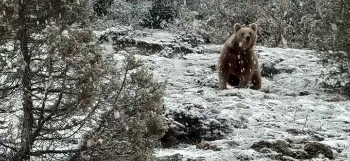 Yozgat’ın Çayıralan ilçesine bağlı Avşaralanı Köyü, etkili olan kar yağışıyla