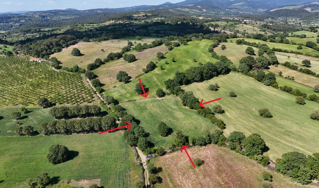 Şehir hayatının yoğunluğu ve gürültüsünden uzaklaşıp doğayla iç içe bir