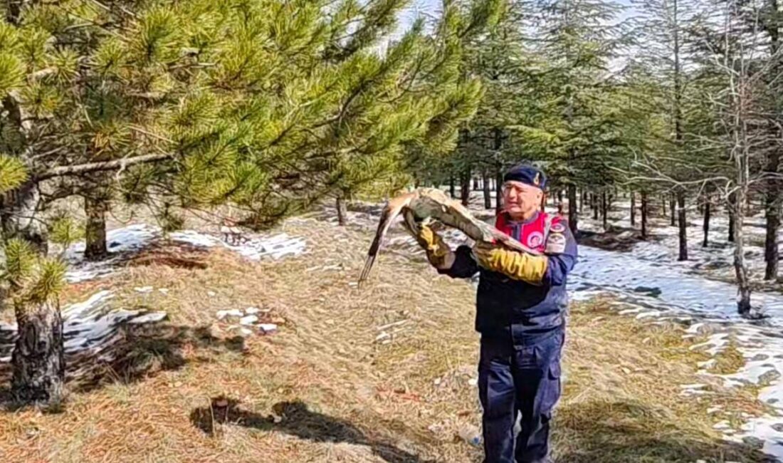 Yozgat’ta çevre ve yaban hayatının korunmasına yönelik çalışmalarını sürdüren Yozgat