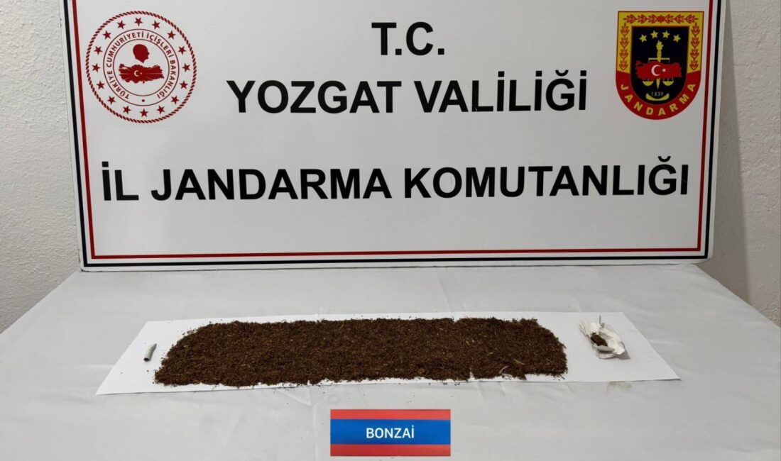 Sorgun ilçesinde jandarma ekipleri tarafından uyuşturucu ile mücadele kapsamında yürütülen