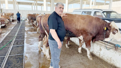 Kurban Bayramı yaklaşırken Yozgat’ta kurbanlık hayvan piyasasında hareketlilik hız kazandı.