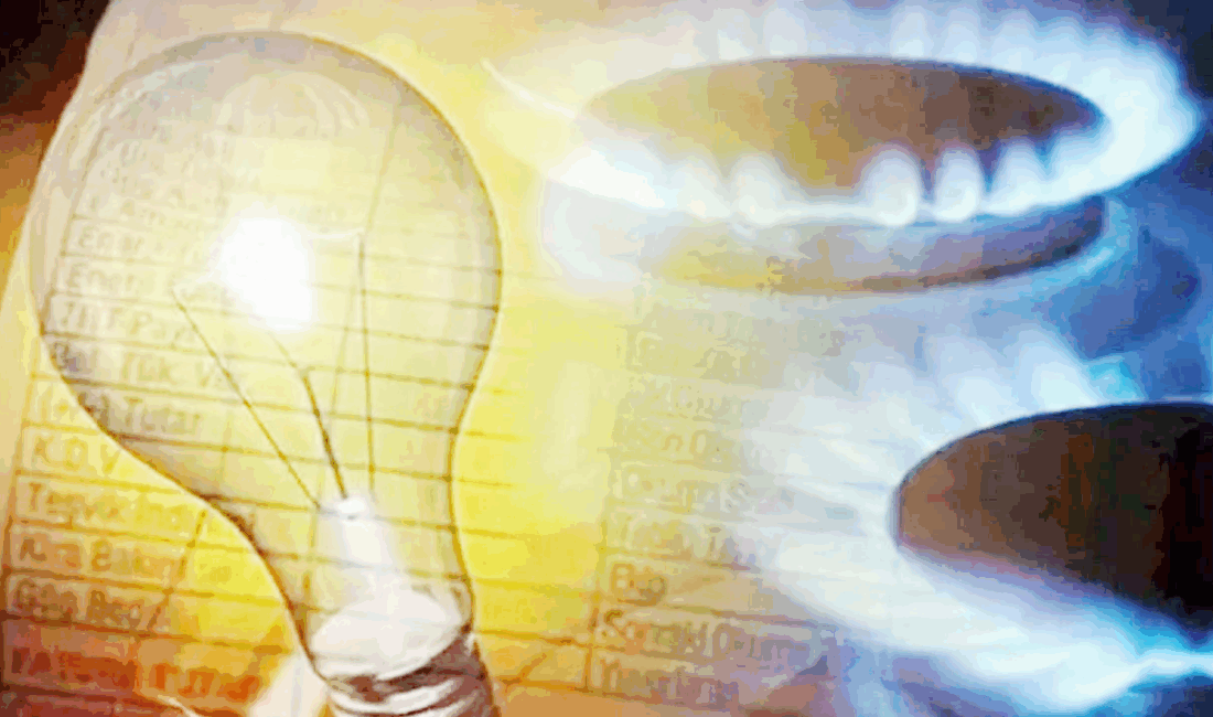 Enerji ve Tabii Kaynaklar Bakanı Alparslan Bayraktar, elektrik ve doğal