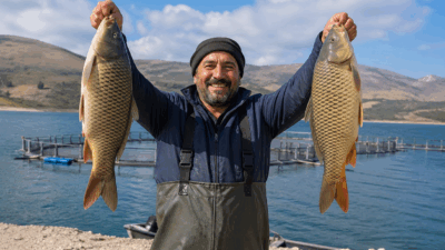 Çekerek Barajı’nda son dönemde etkili olan yağışlar, hem su seviyesini