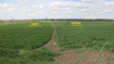 Yozgat İl Tarım ve Orman Müdürlüğü, il genelinde yerli ve