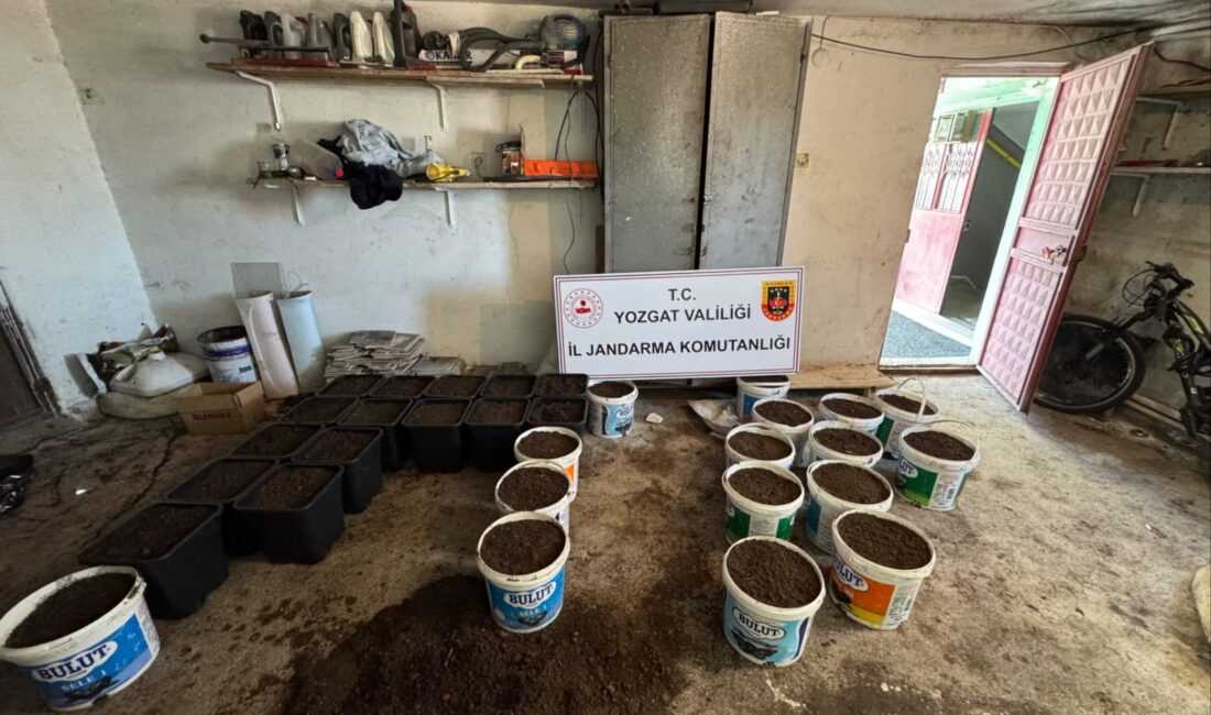 Yozgat’ta jandarma ekiplerince düzenlenen uyuşturucu operasyonunda iki ayrı adrese eş
