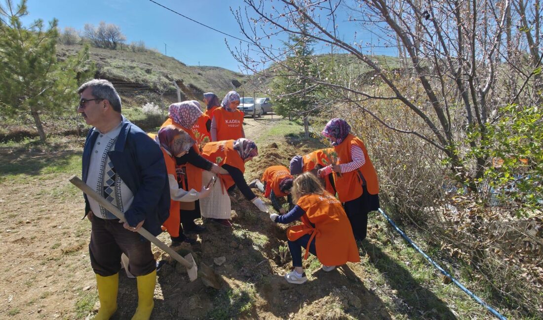  Kadın ve Demokrasi Vakfı (KADEM) Yozgat İl Temsilciliği öncülüğünde,