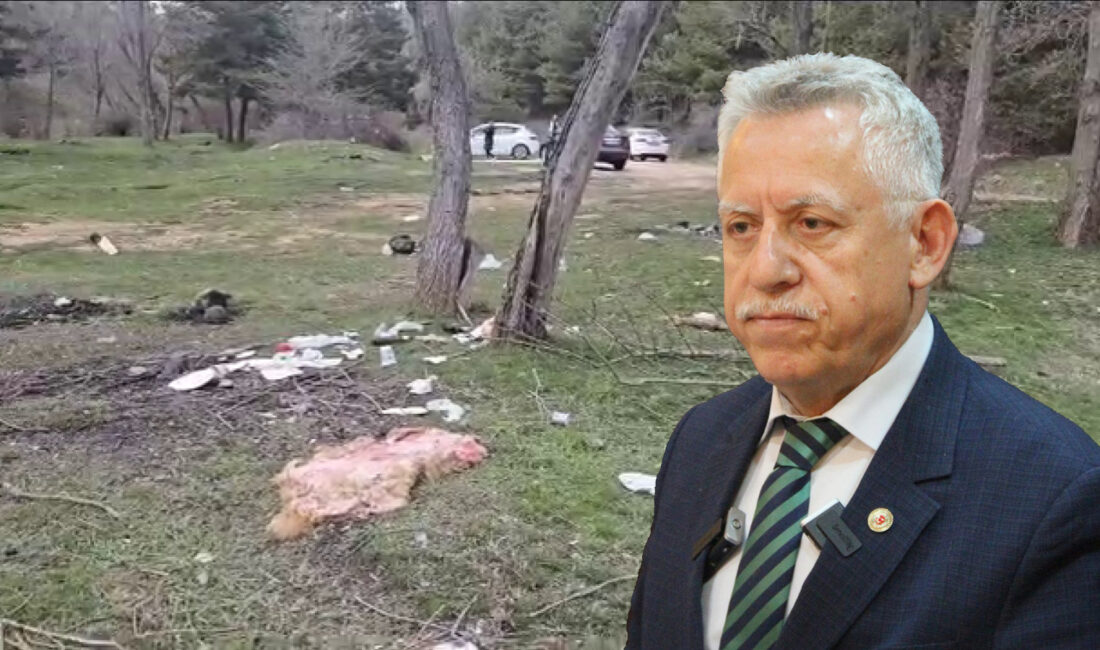 Yozgat Belediye Başkanı Kazım Arslan, Kirazlı Göleti’nde çektiği videoyla doğada