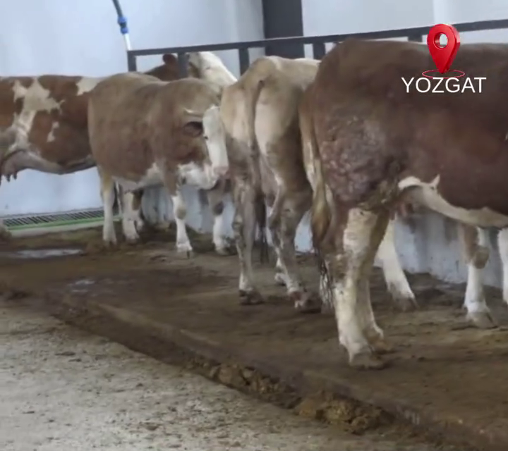 Tarım ve Orman Bakanlığı’nın 16. Etap Kırsal Kalkınma Yatırımları (Altyapı