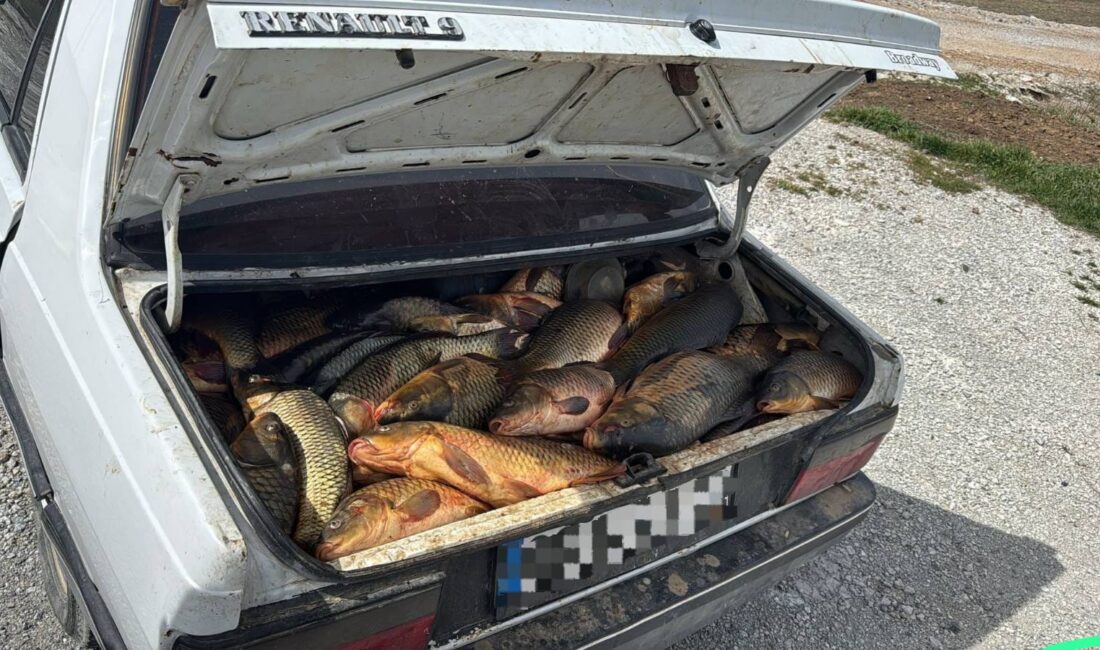 Yozgat İl Jandarma Komutanlığı tarafından, doğal yaşamın korunması ve su