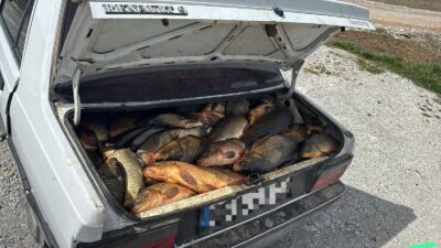 Yozgat İl Jandarma Komutanlığı tarafından, doğal yaşamın korunması ve su