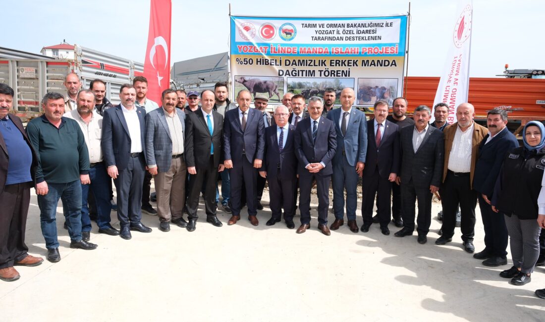 Yozgat’ta hayvancılığı modernleştirmek ve verimliliği artırmak amacıyla hayata geçirilen “Manda
