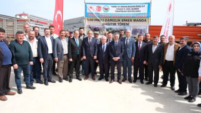 Yozgat’ta hayvancılığı modernleştirmek ve verimliliği artırmak amacıyla hayata geçirilen “Manda
