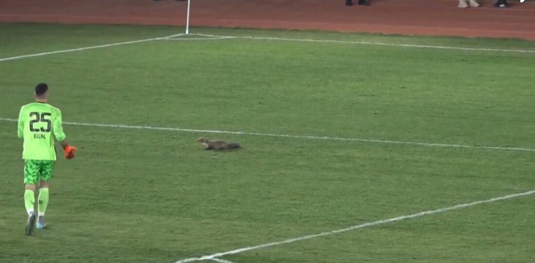 TFF 3. Lig 3. Grup play-off mücadelesinde Yozgat Bozokspor ile