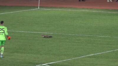 TFF 3. Lig 3. Grup play-off mücadelesinde Yozgat Bozokspor ile