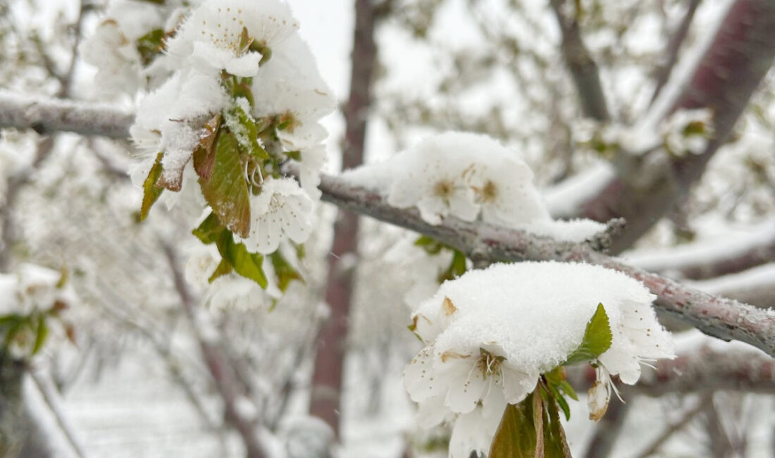 Meteoroloji Genel Müdürlüğünden yapılan duyuruda, aralarında Yozgat’ında bulunduğu çok sayıda