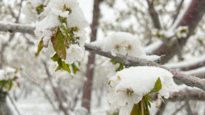 Meteoroloji Genel Müdürlüğünden yapılan duyuruda, aralarında Yozgat’ında bulunduğu çok sayıda