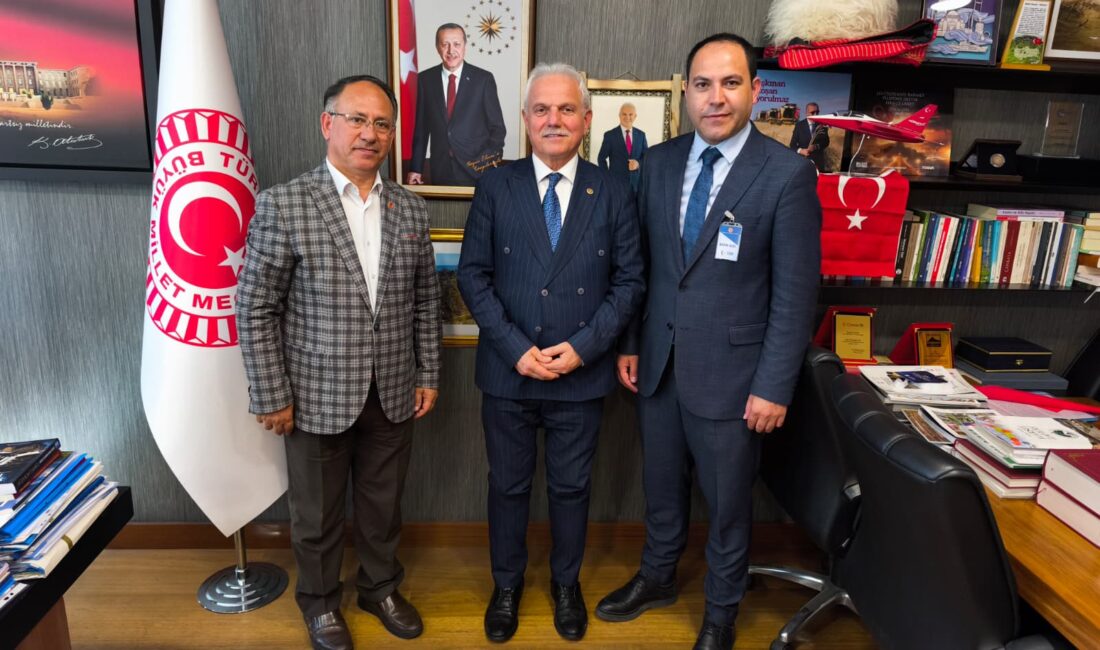 TBMM Dijital Mecralar Komisyonu Başkanı ve AK Parti Giresun Milletvekili