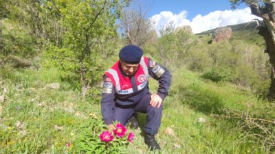Yozgat’ta doğal hayatın korunmasına yönelik çalışmalar aralıksız sürerken, endemik bitki