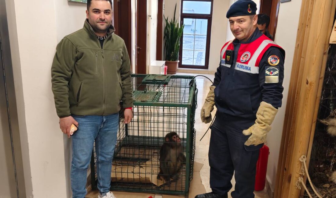 Yozgat İl Jandarma Komutanlığı Çevre, Doğa ve Hayvanları Koruma Tim