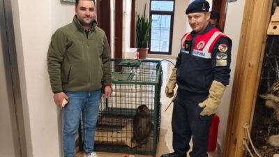 Yozgat İl Jandarma Komutanlığı Çevre, Doğa ve Hayvanları Koruma Tim