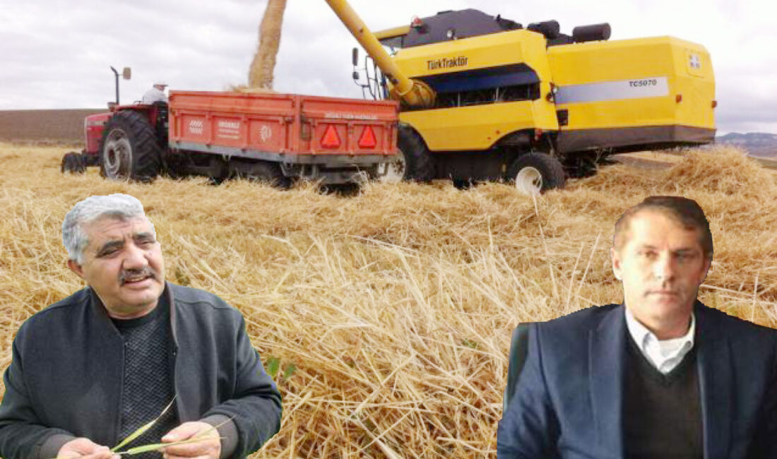 Toprak Mahsulleri Ofisi (TMO), 2026 yılı hububat alım döneminde yoğunluğun