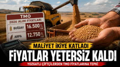 Toprak Mahsulleri Ofisi'nin (TMO) 2026 yılı hububat alım fiyatlarını açıklamasının
